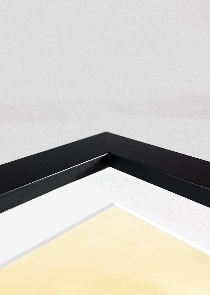 Rapsmarker om sommeren