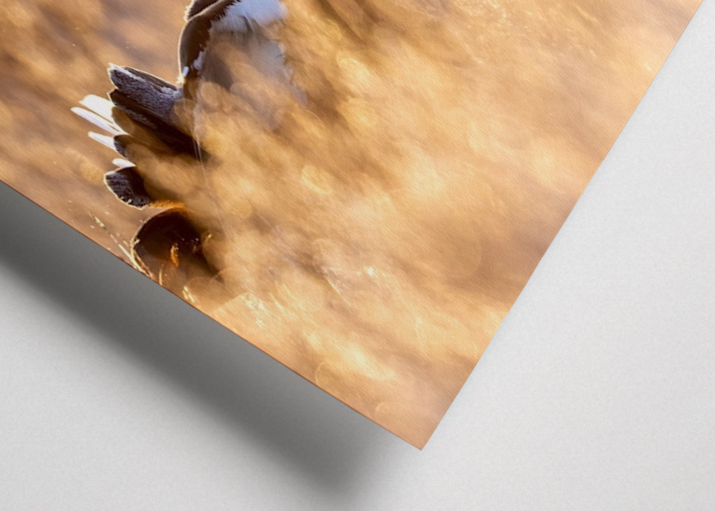 Rypespill i magisk lys