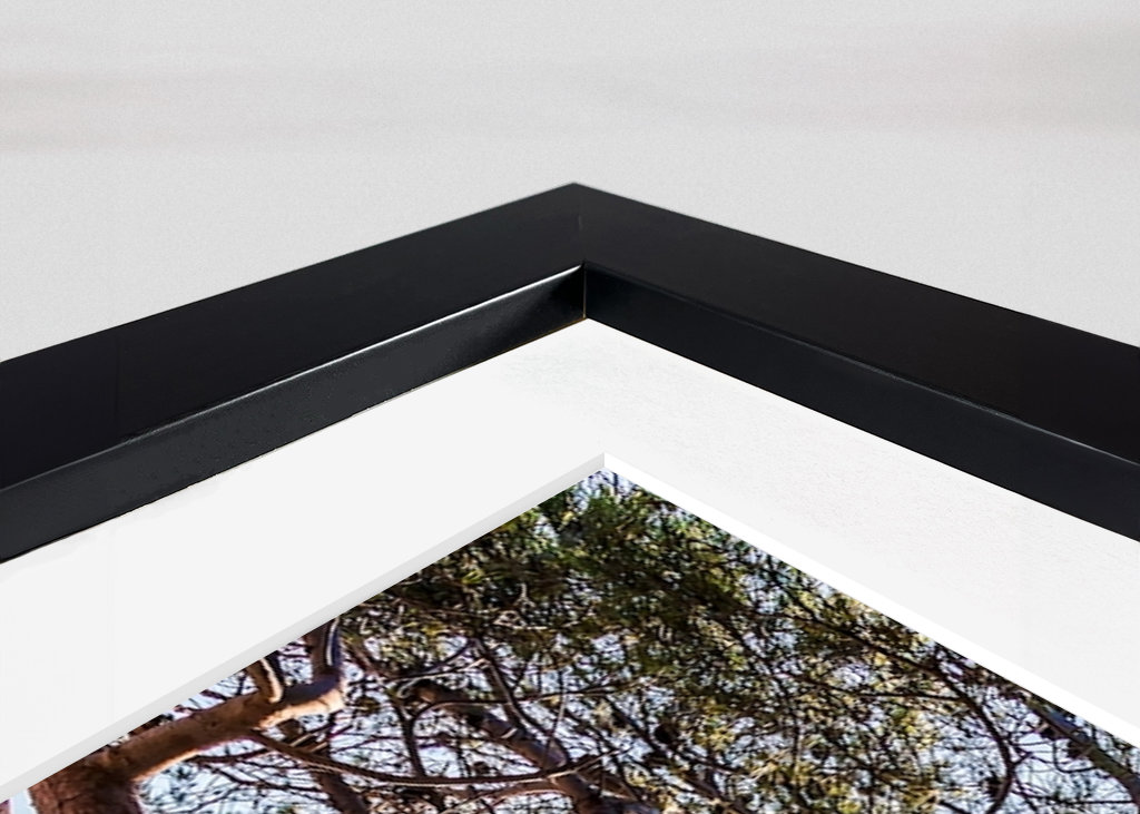 Corniche des Crêtes 