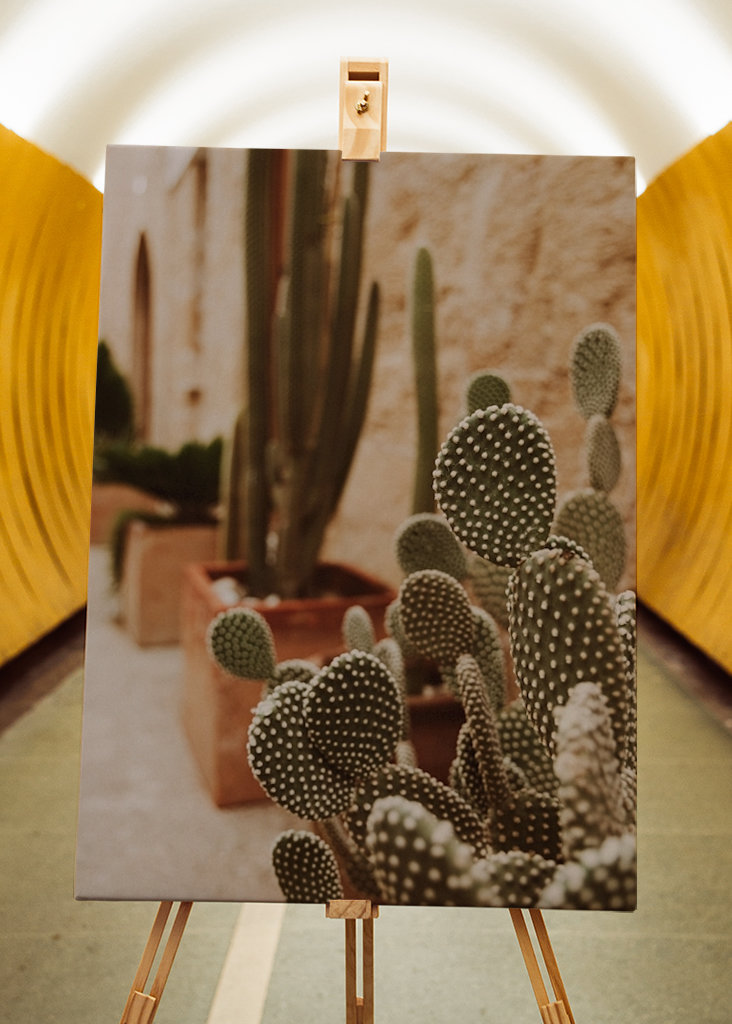 Cactus