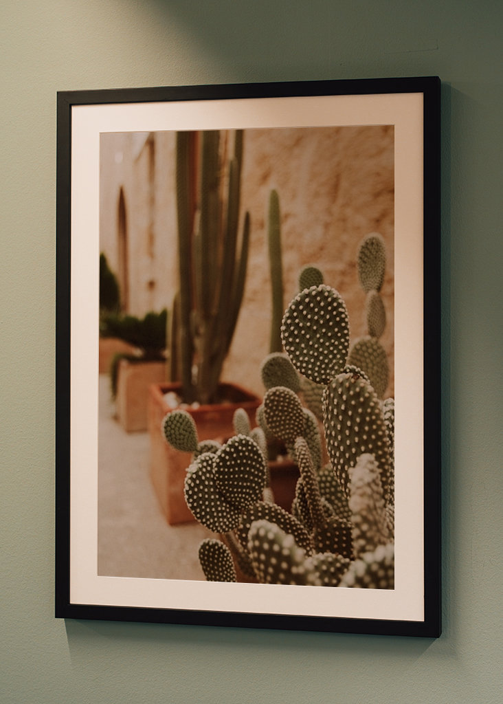 Cactus