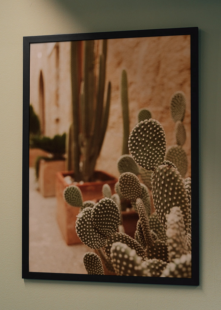 Cactus