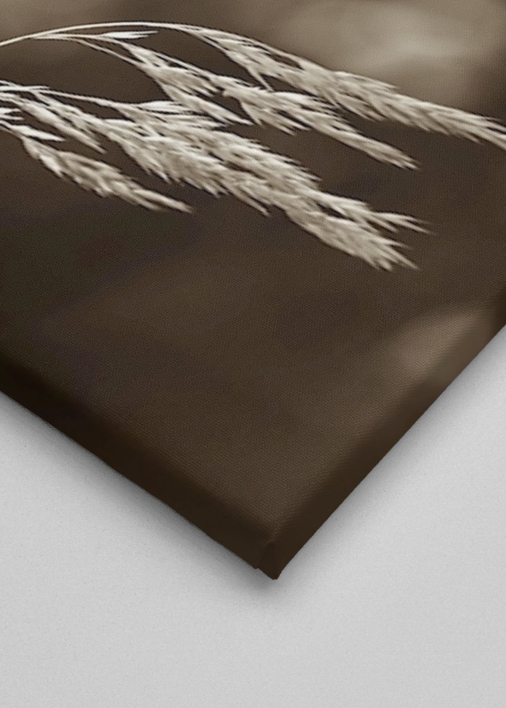 Steblo trávy vo vetre