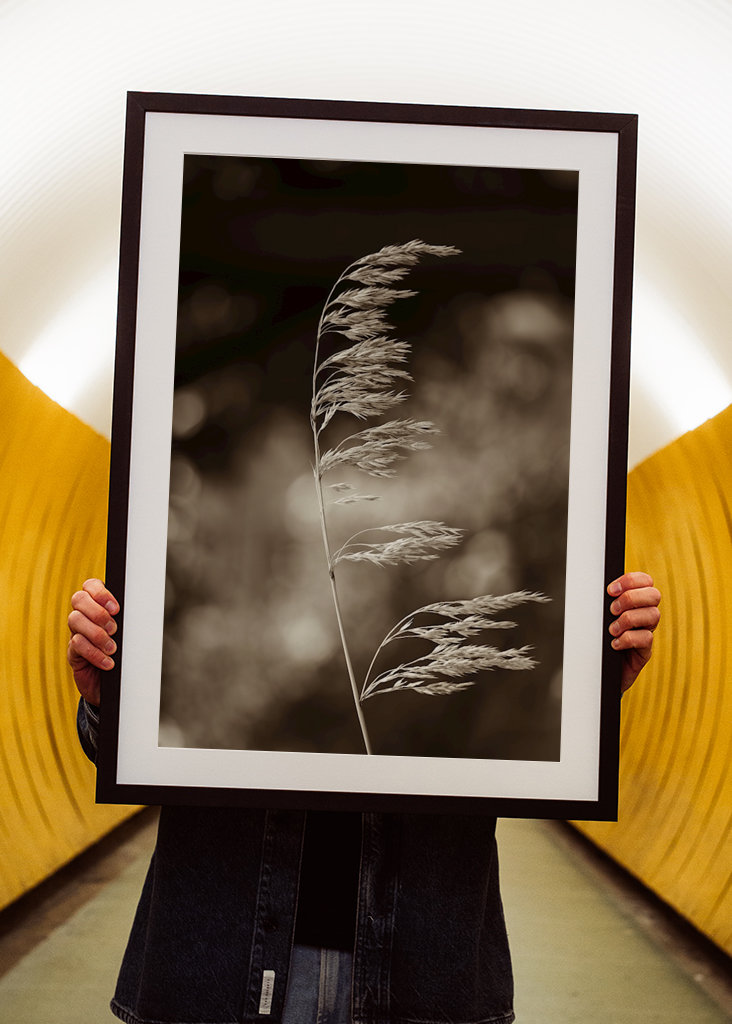 Steblo trávy vo vetre