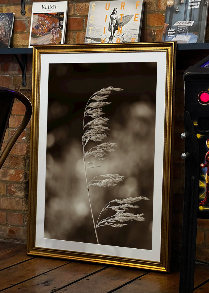 Steblo trávy vo vetre