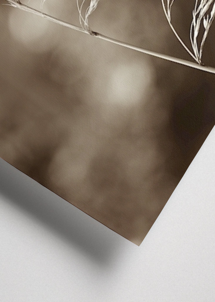 Steblo trávy vo vetre