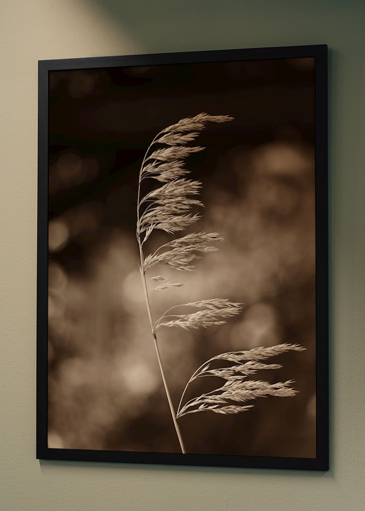 Steblo trávy vo vetre