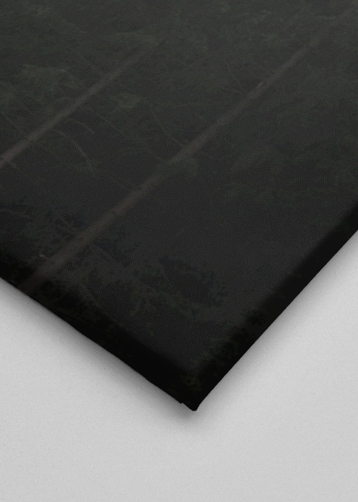 Herbstnebel über dem Wald