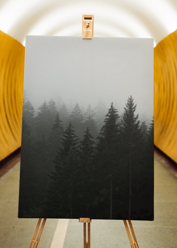 Herbstnebel über dem Wald