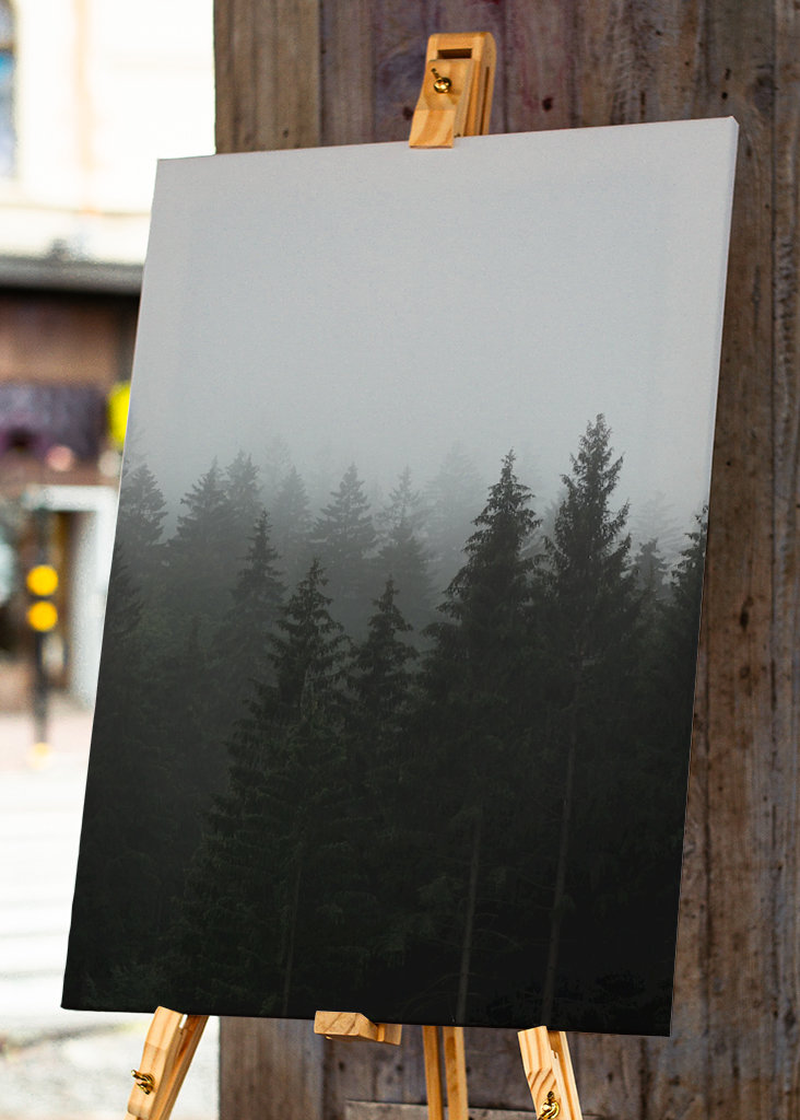 Herbstnebel über dem Wald