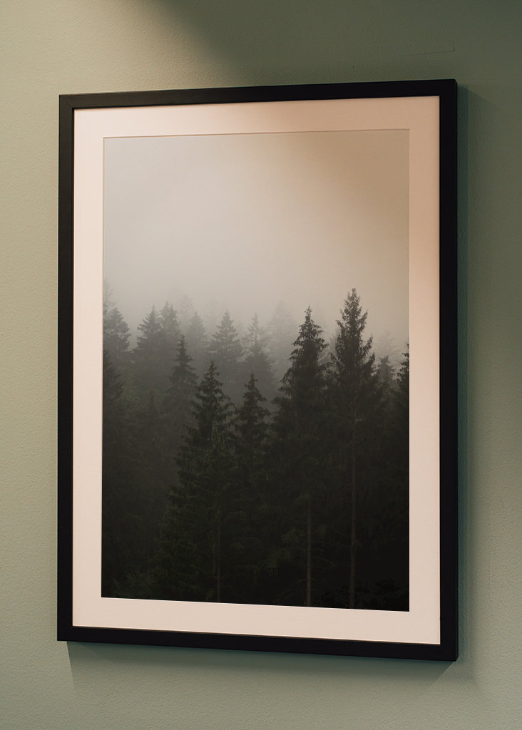 Herbstnebel über dem Wald