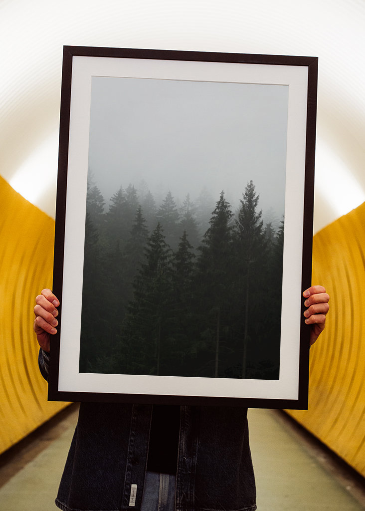 Herbstnebel über dem Wald