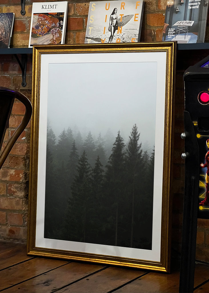 Herbstnebel über dem Wald