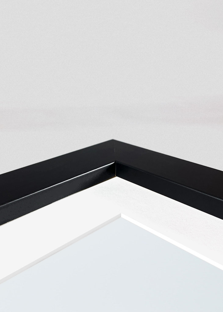 Herbstnebel über dem Wald