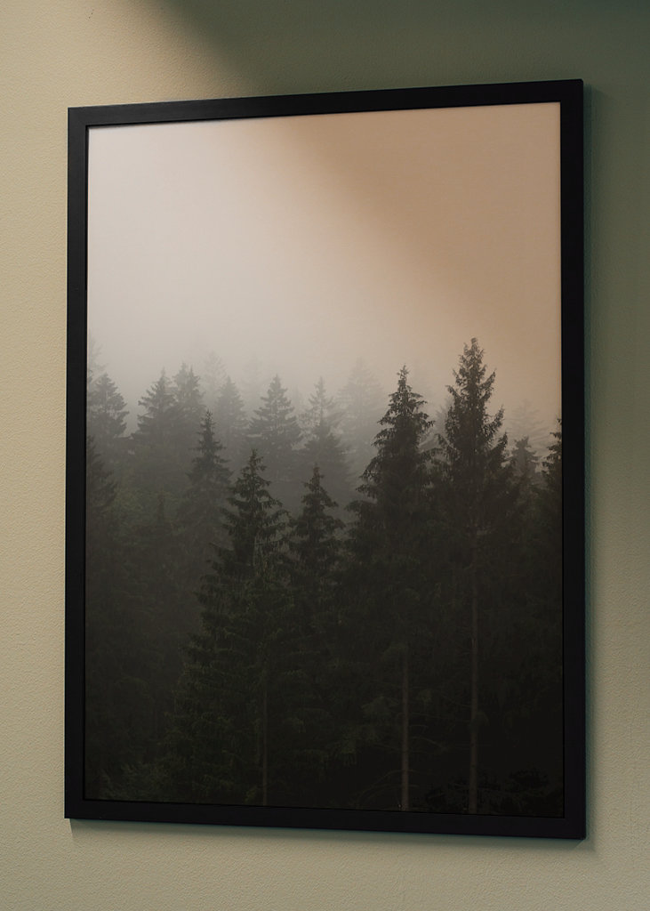 Herbstnebel über dem Wald