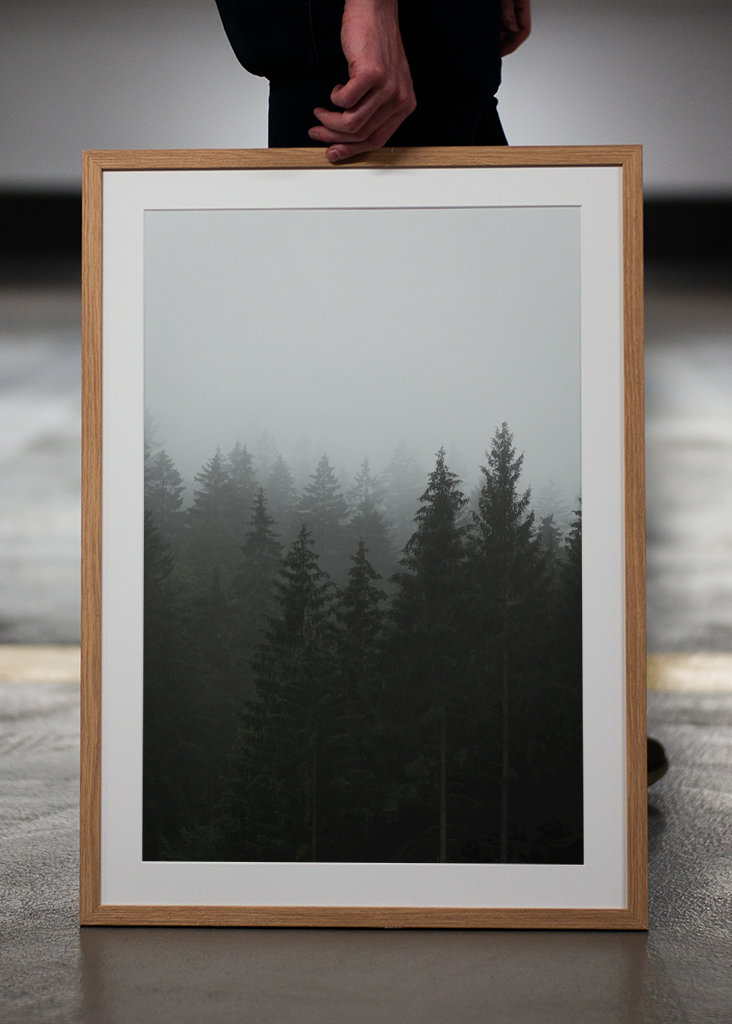 Herbstnebel über dem Wald