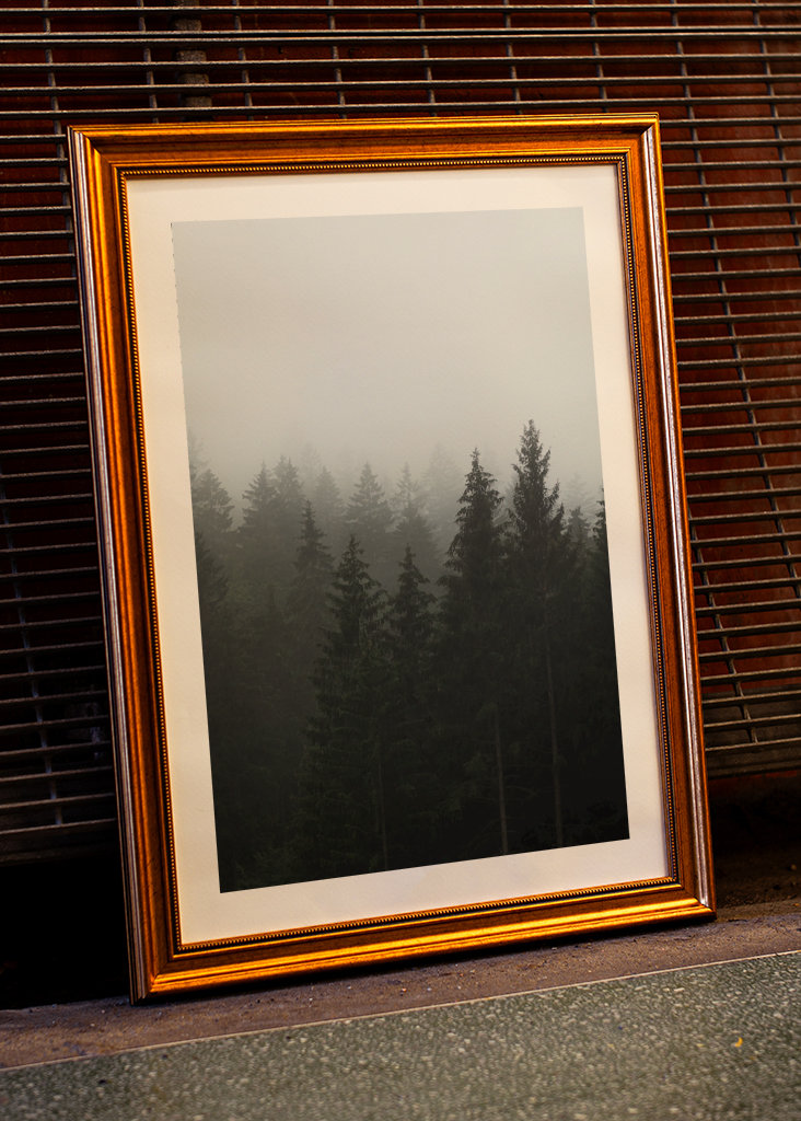 Herbstnebel über dem Wald