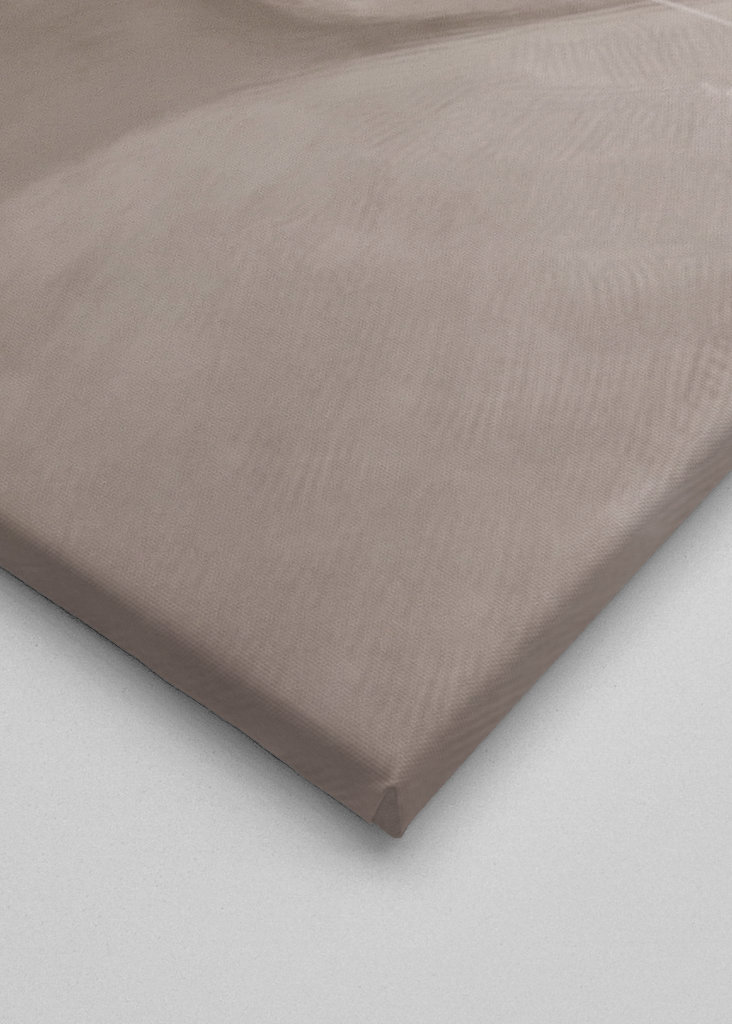 Expresivní kočka - Meme 2