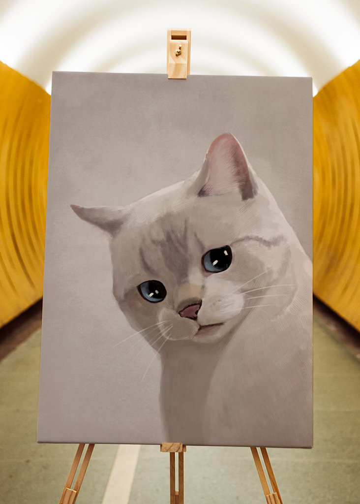 Expresivní kočka - Meme 2