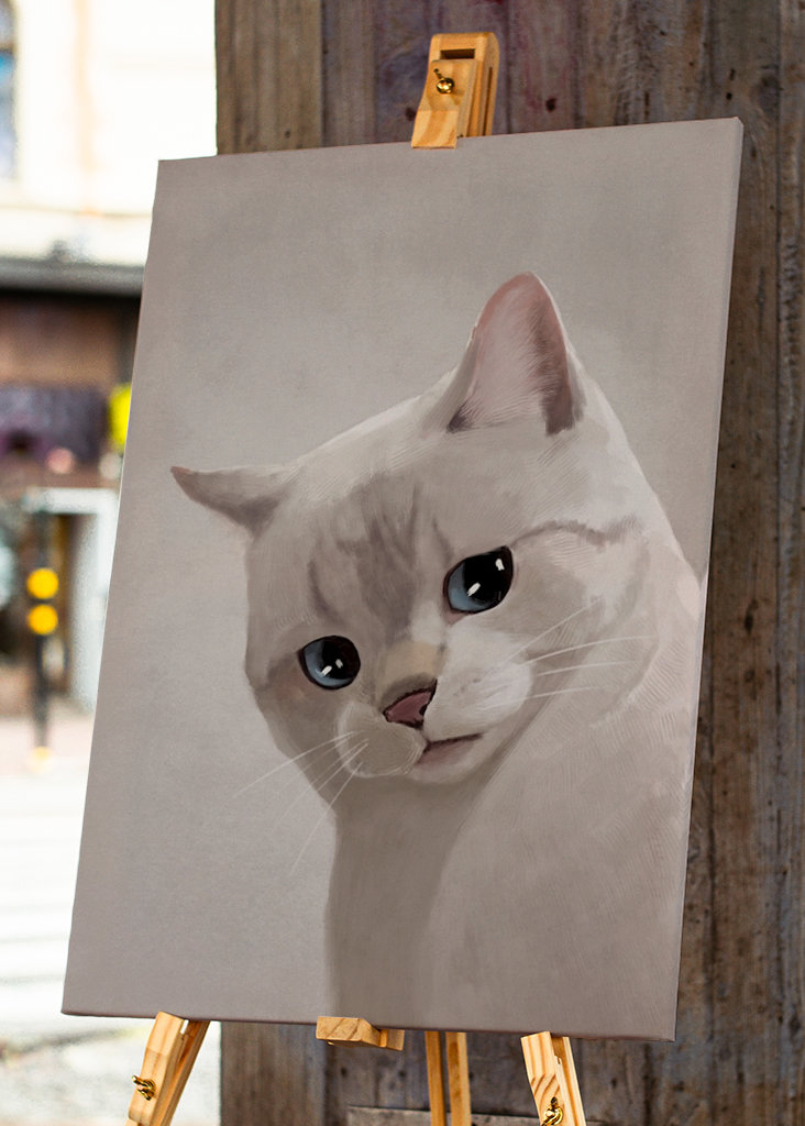 Expresivní kočka - Meme 2