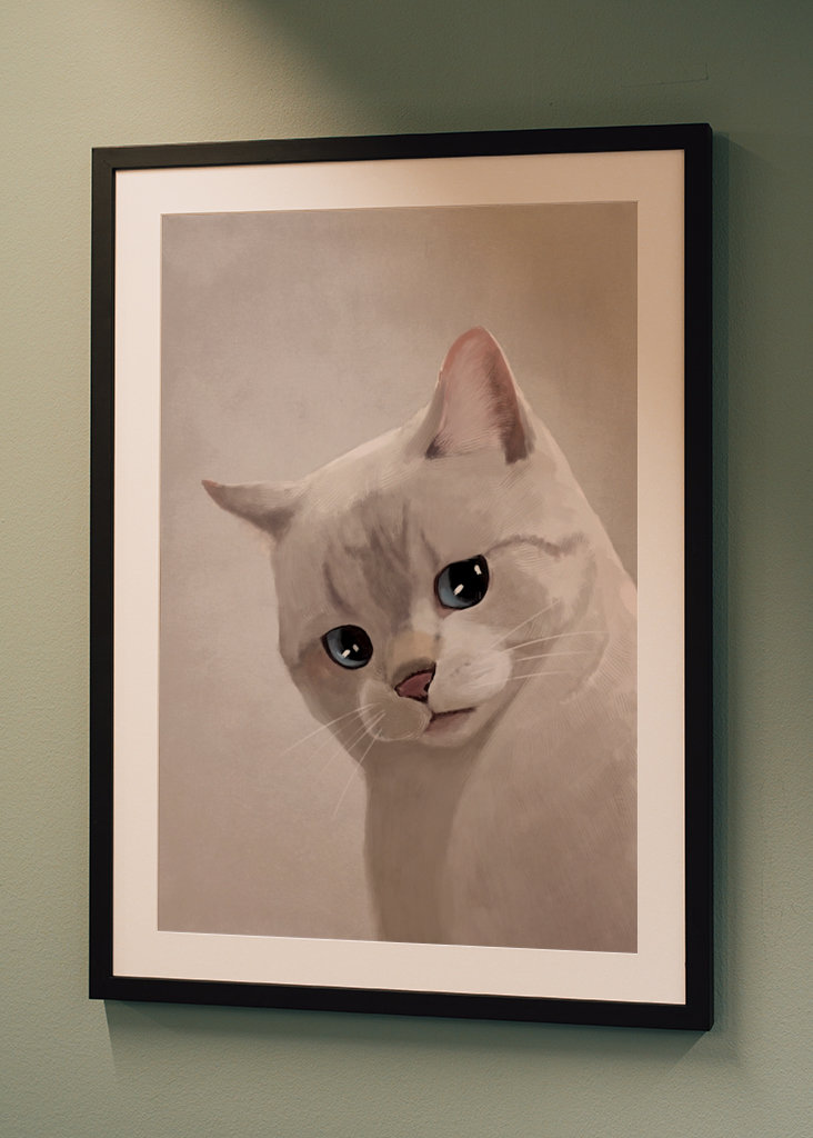 Expresivní kočka - Meme 2