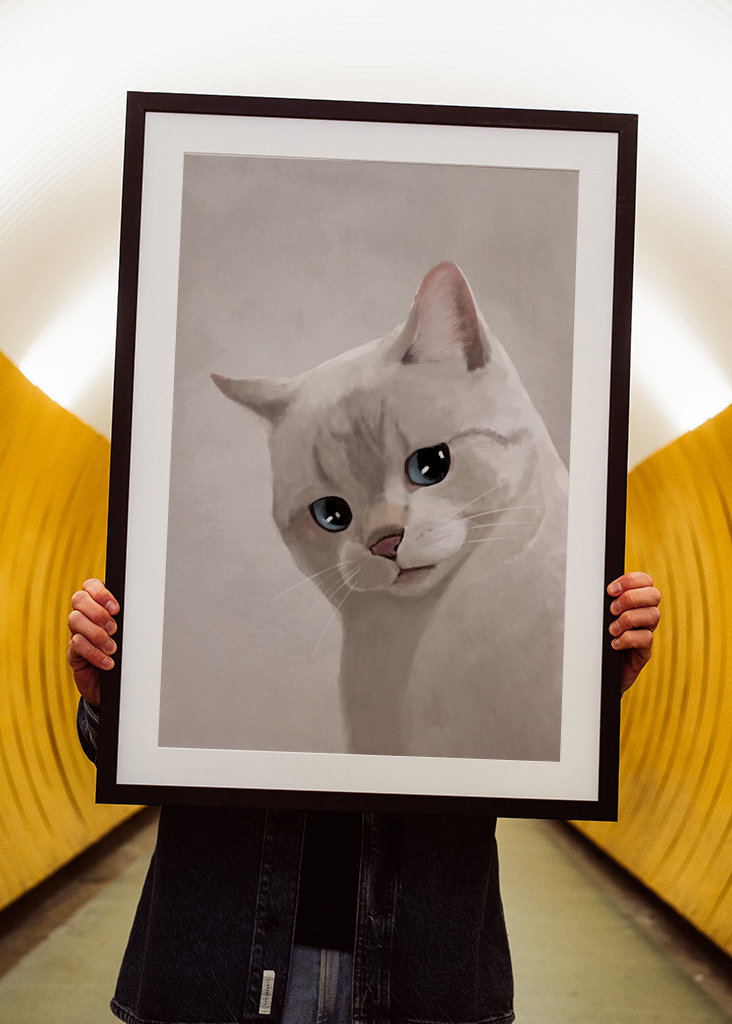 Expresivní kočka - Meme 2