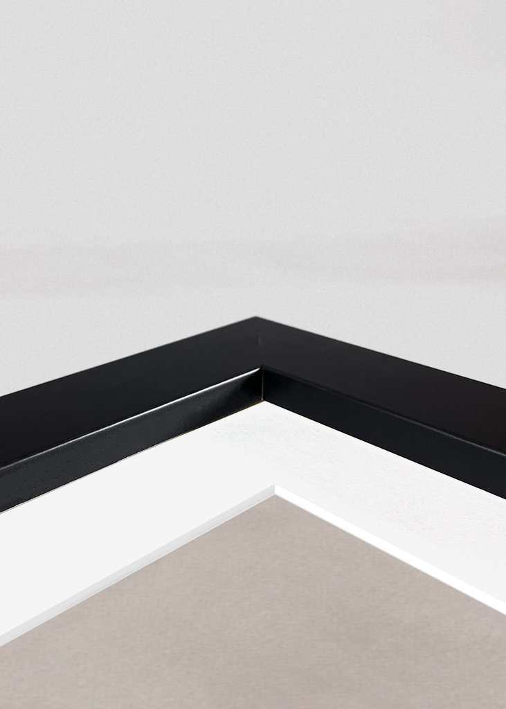 Expresivní kočka - Meme 2