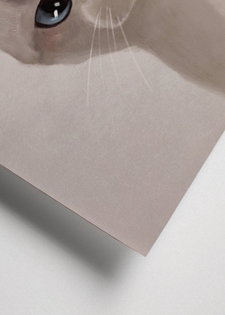 Expresivní kočka - Meme 2