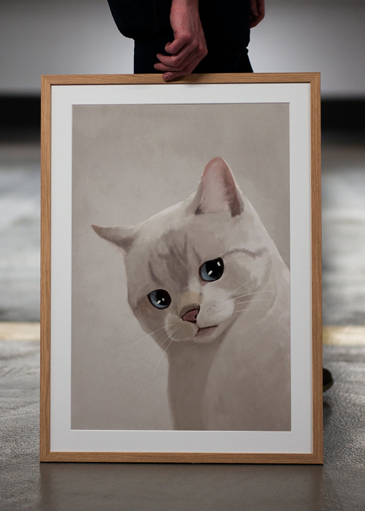 Expresivní kočka - Meme 2