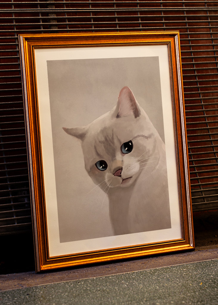 Expresivní kočka - Meme 2