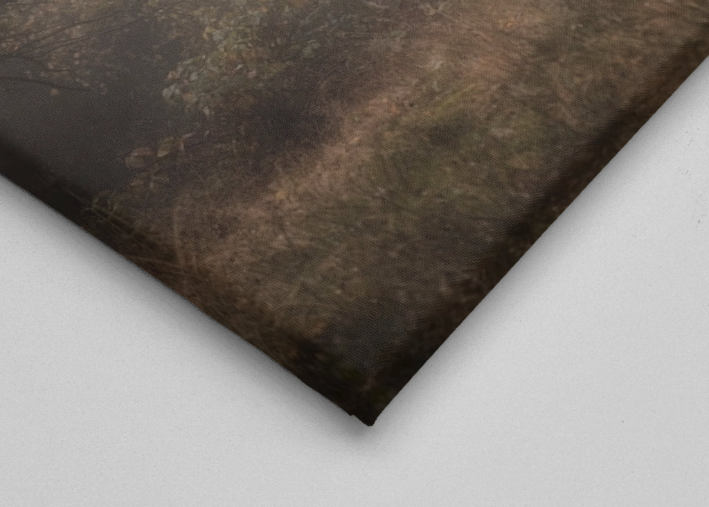 Arbre d’automne dans le brouillard