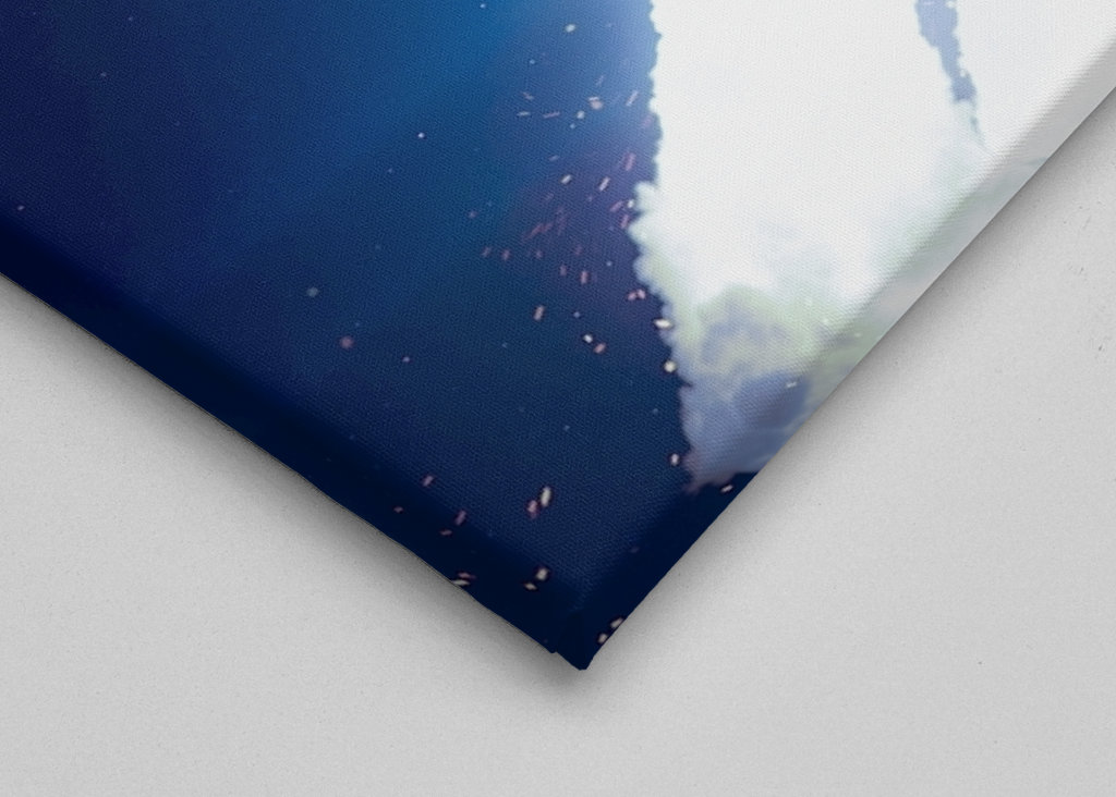 Space Shuttle in Space