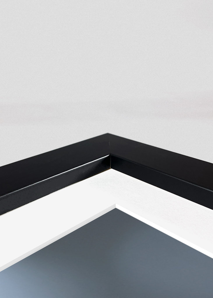 Eule im letzten Licht des Abends