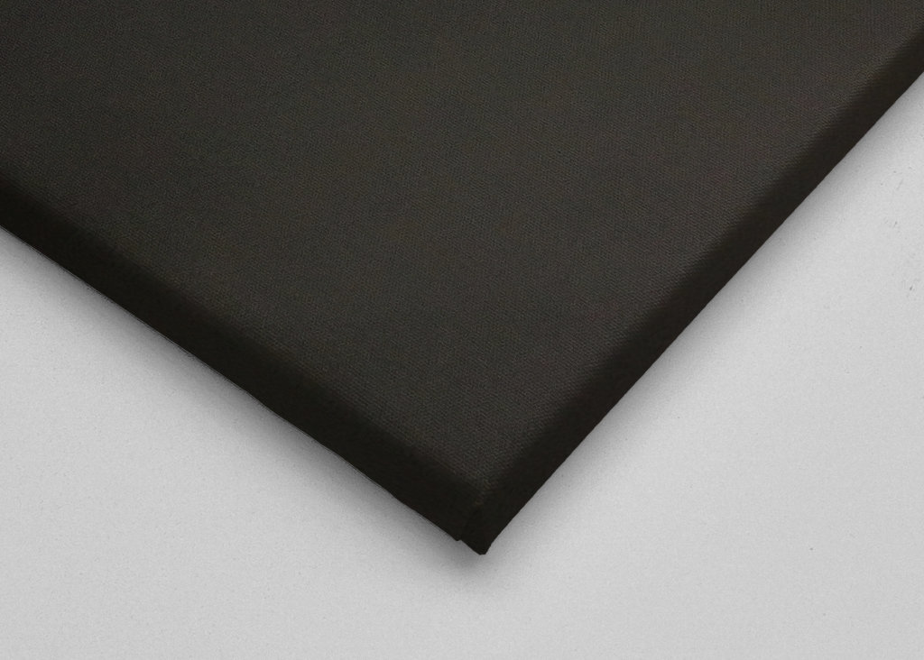 Ciekawa szlachetna papuga 