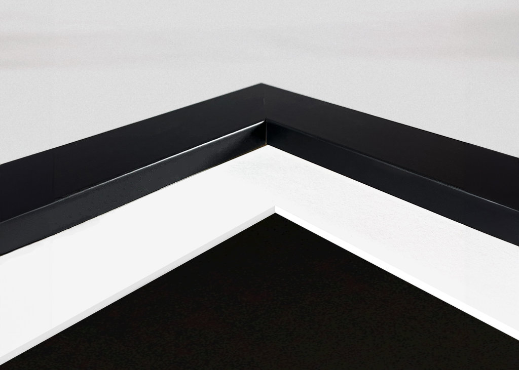 Ciekawa szlachetna papuga 