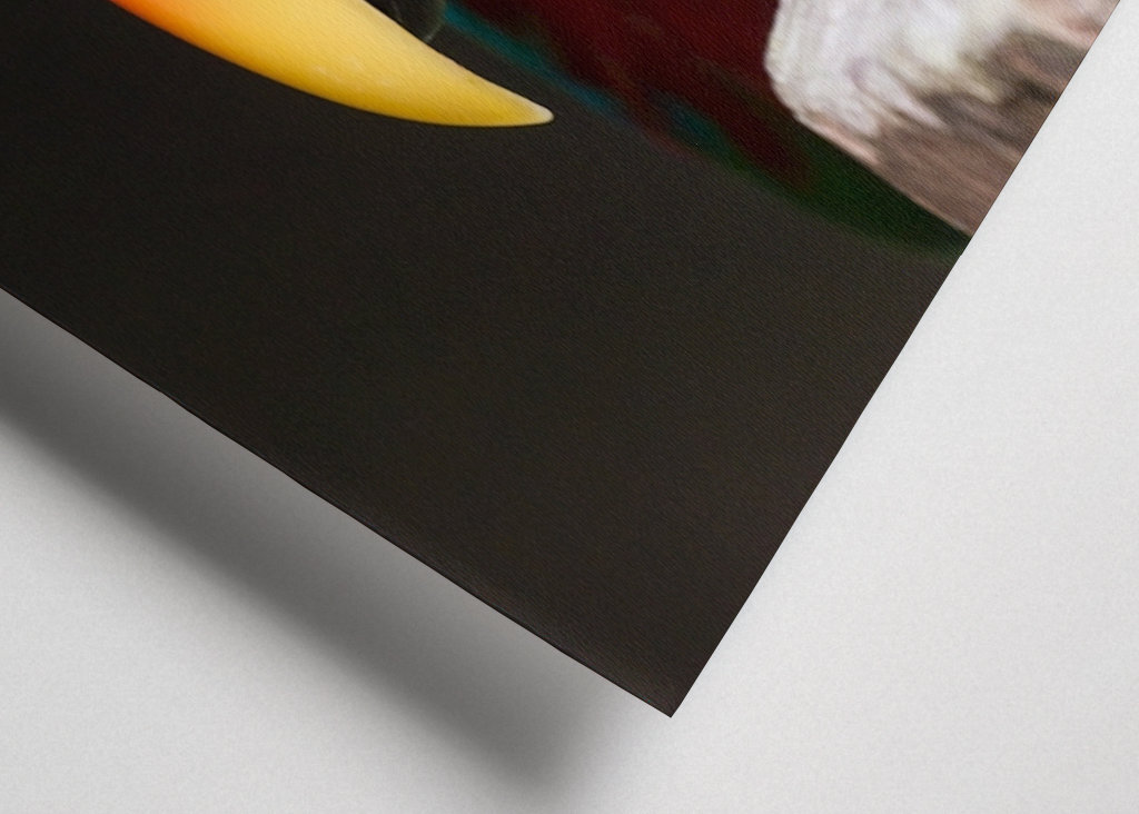 Ciekawa szlachetna papuga 