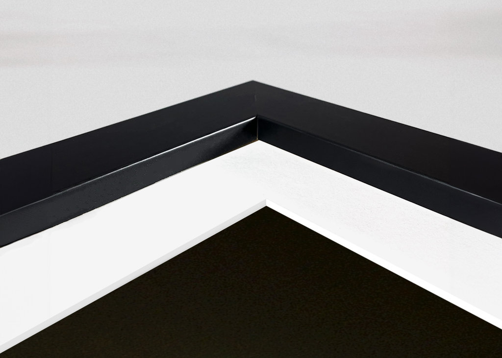 Szaropapagei (Eclectus roratus)