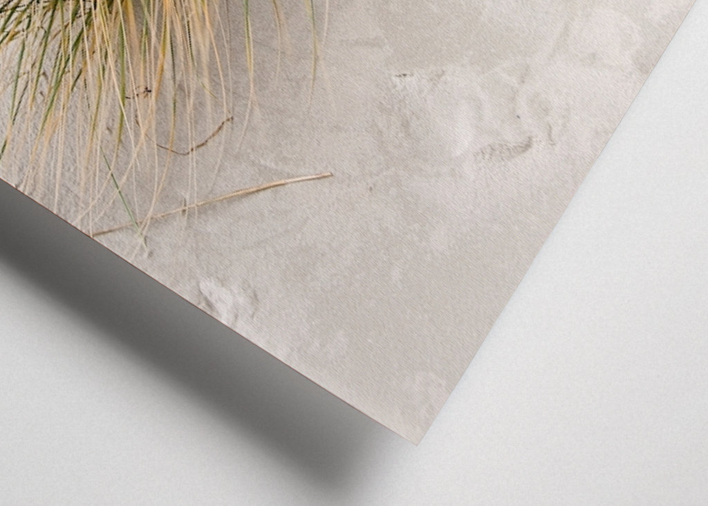 Dünengrass im Sand am Meer