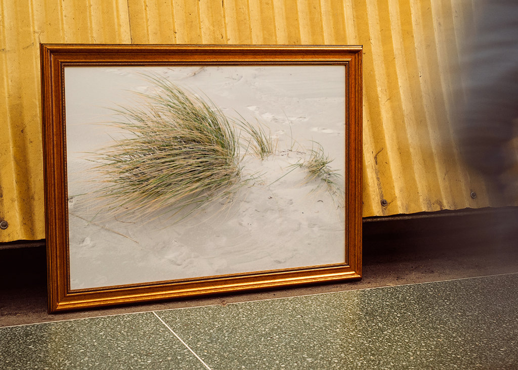 Dünengrass im Sand am Meer