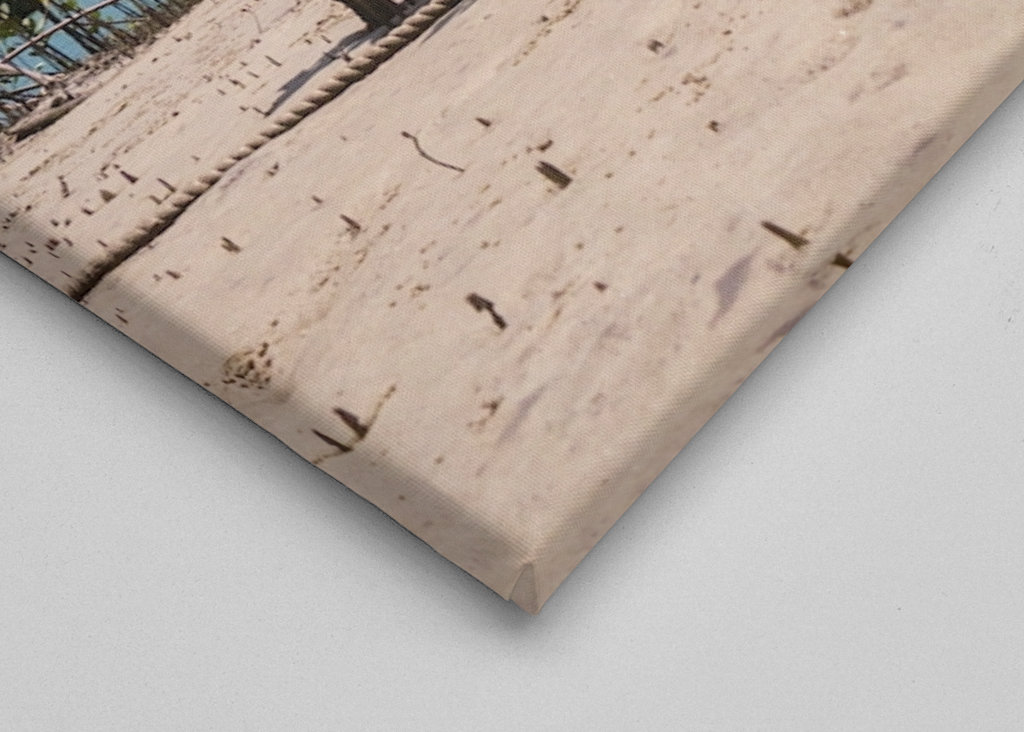 Riverbank Daintree Rainforest