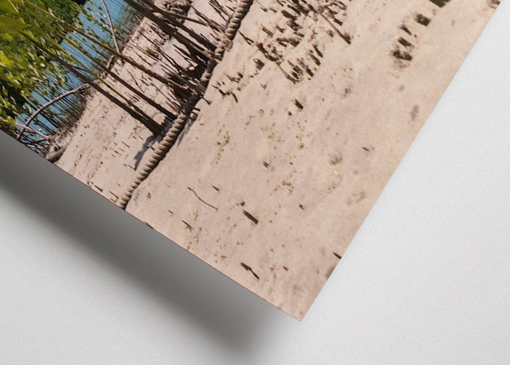 Riverbank Daintree Rainforest