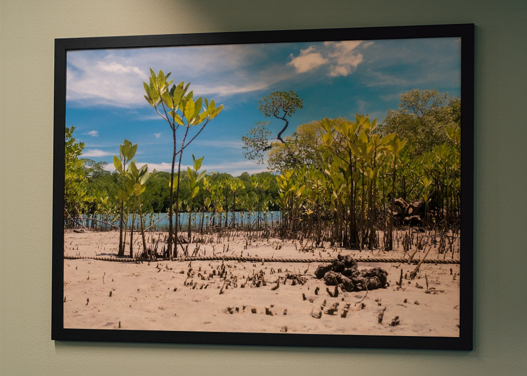 Riverbank Daintree Rainforest