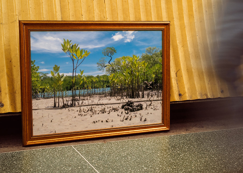 Riverbank Daintree Rainforest