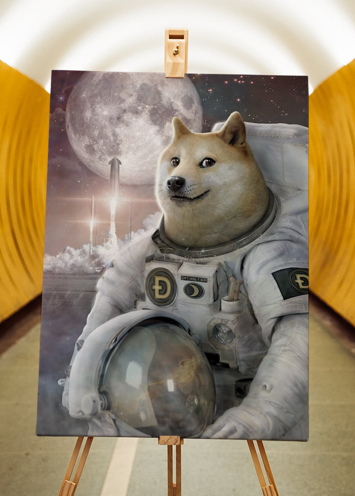 Spacefarer - Dóžecí mem