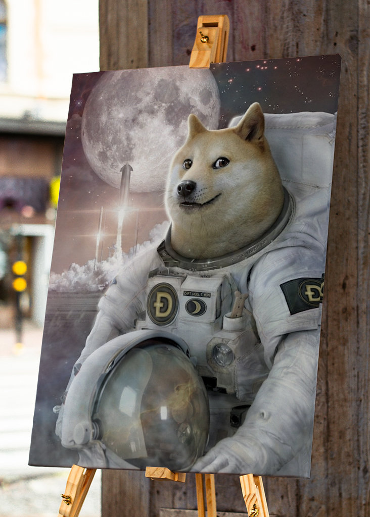 Spacefarer - Dóžecí mem