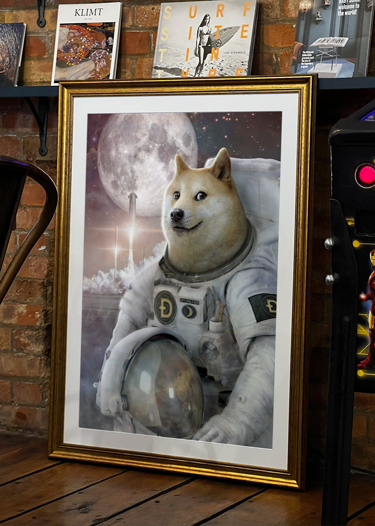 Spacefarer - Dóžecí mem