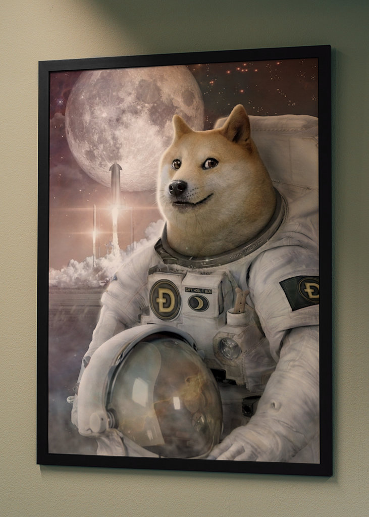 Spacefarer - Dóžecí mem