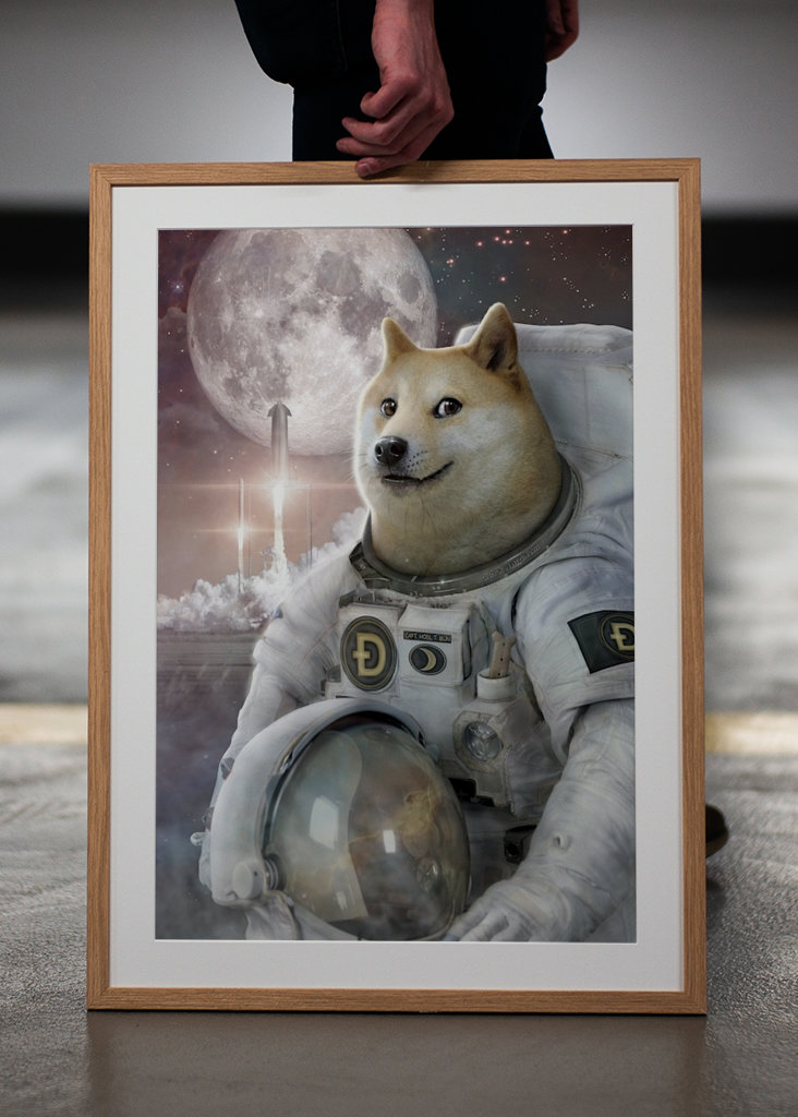 Spacefarer - Dóžecí mem