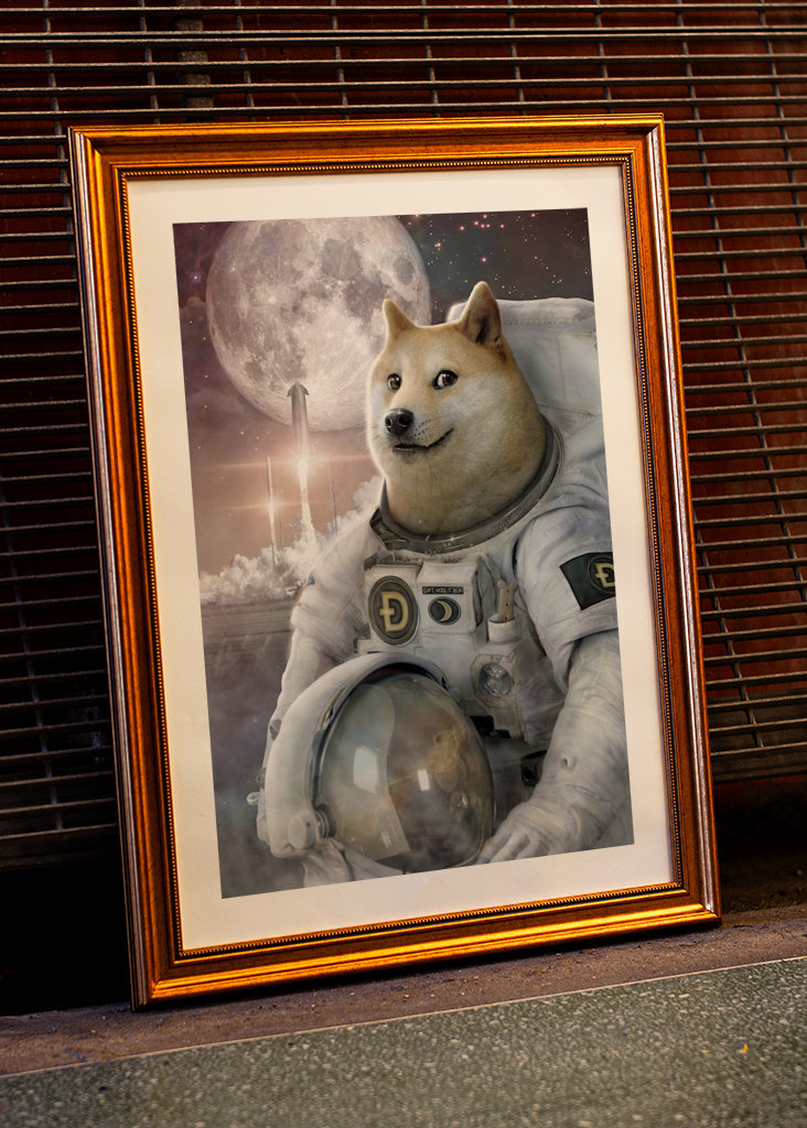 Spacefarer - Dóžecí mem