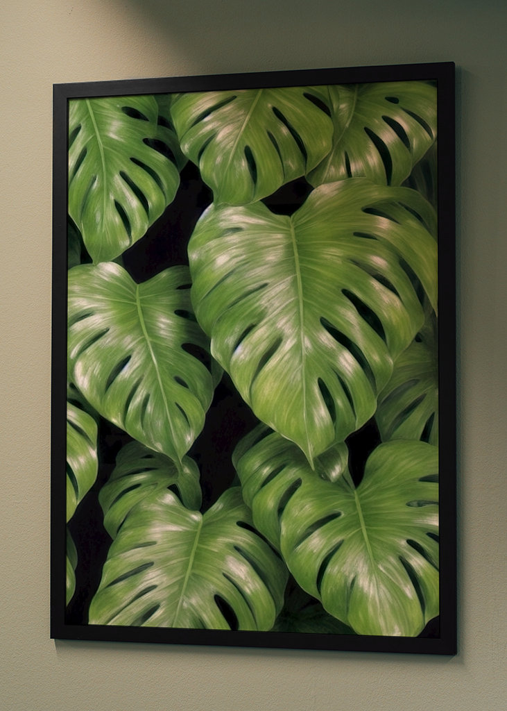 Monstera Deliciosa Dramatická 2